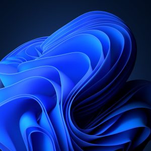 Windows 11 Installation Services